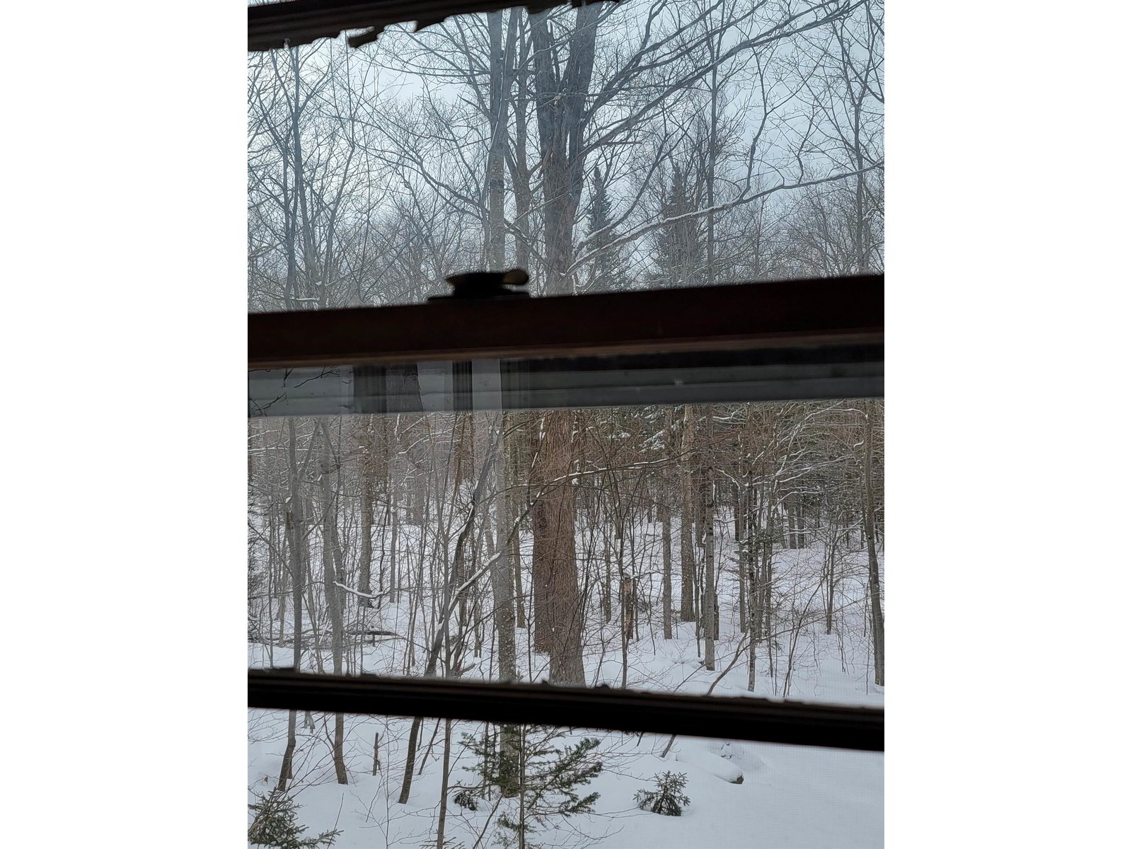 845 Bailey Hill Road