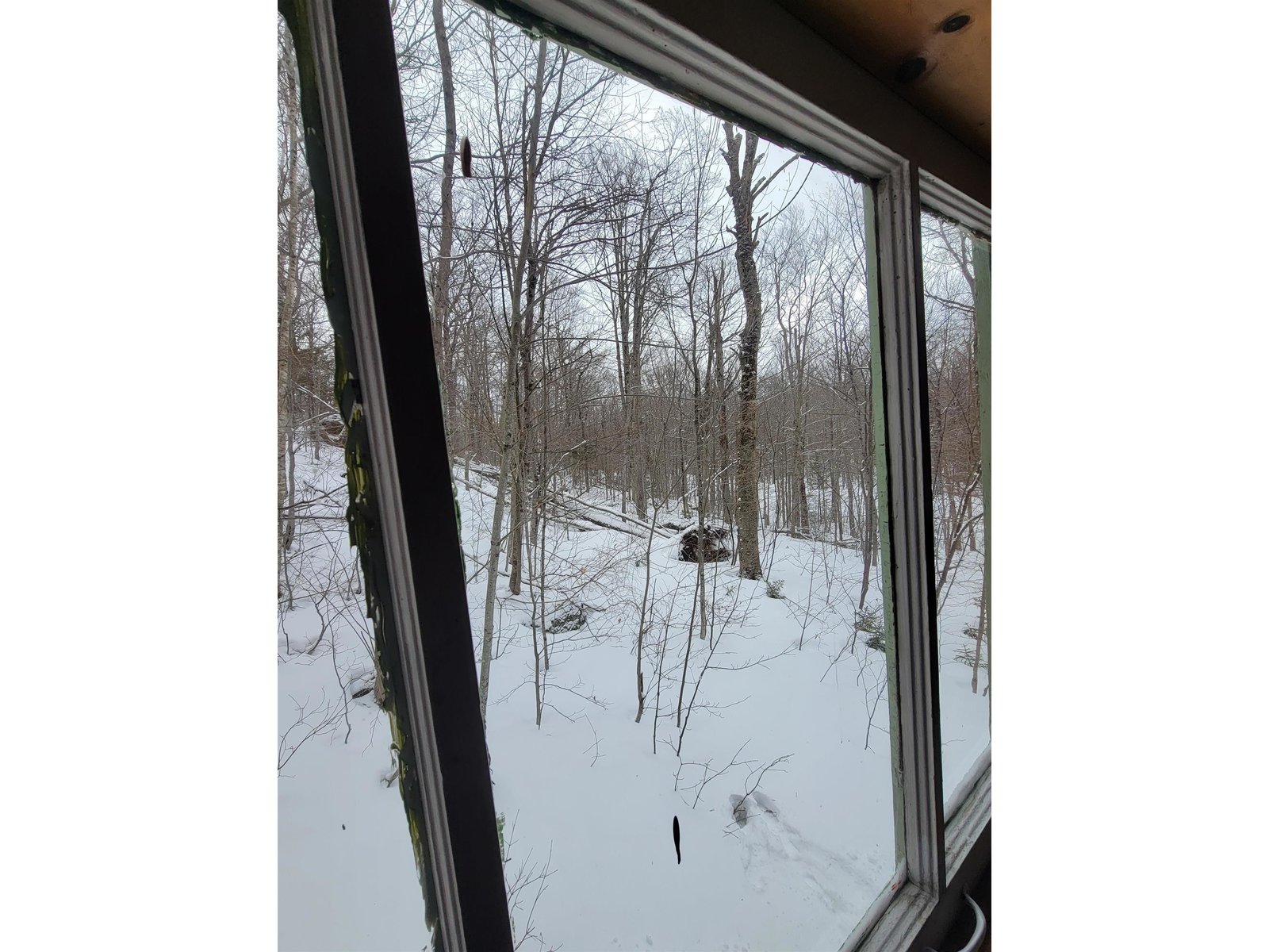 845 Bailey Hill Road