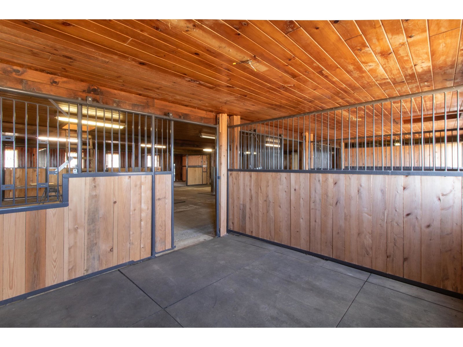 Horse Stalls