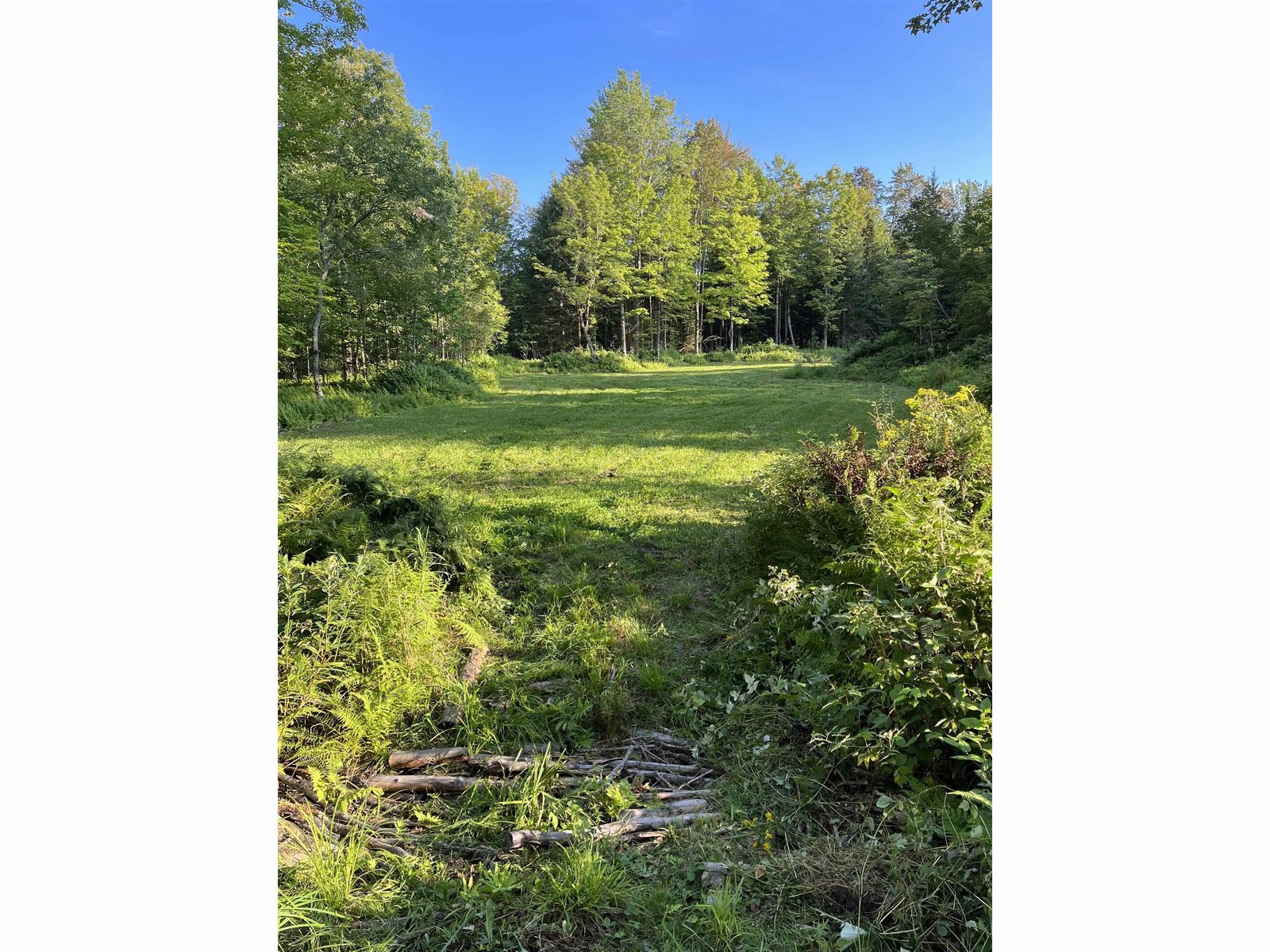 849 Mount Bess Road