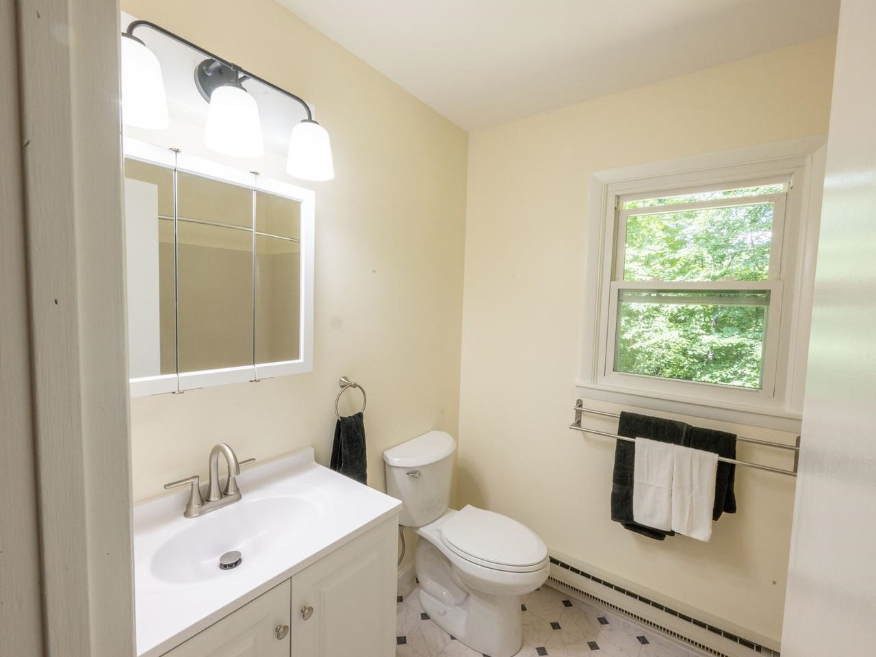 New vanity, light, toilet