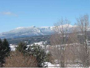 86 Westview Heights, Unit A4