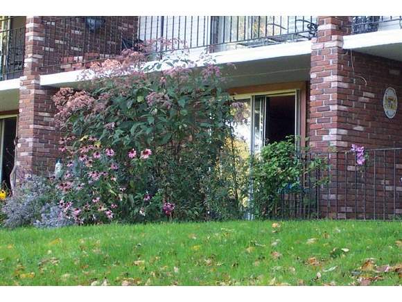 86 Westview Heights, Unit C3