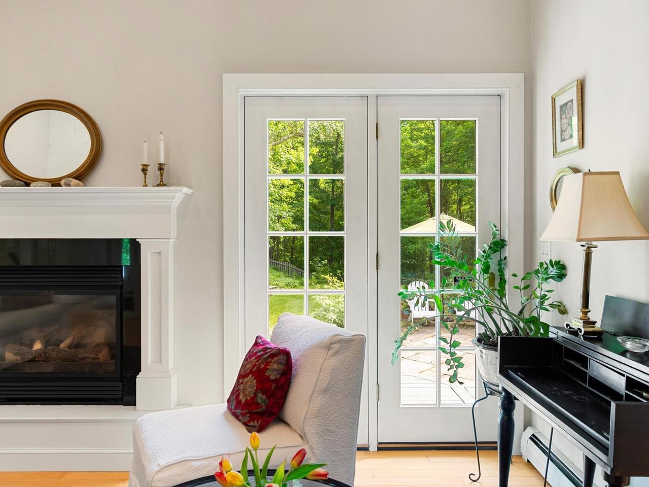 French Door to Deck & Patio