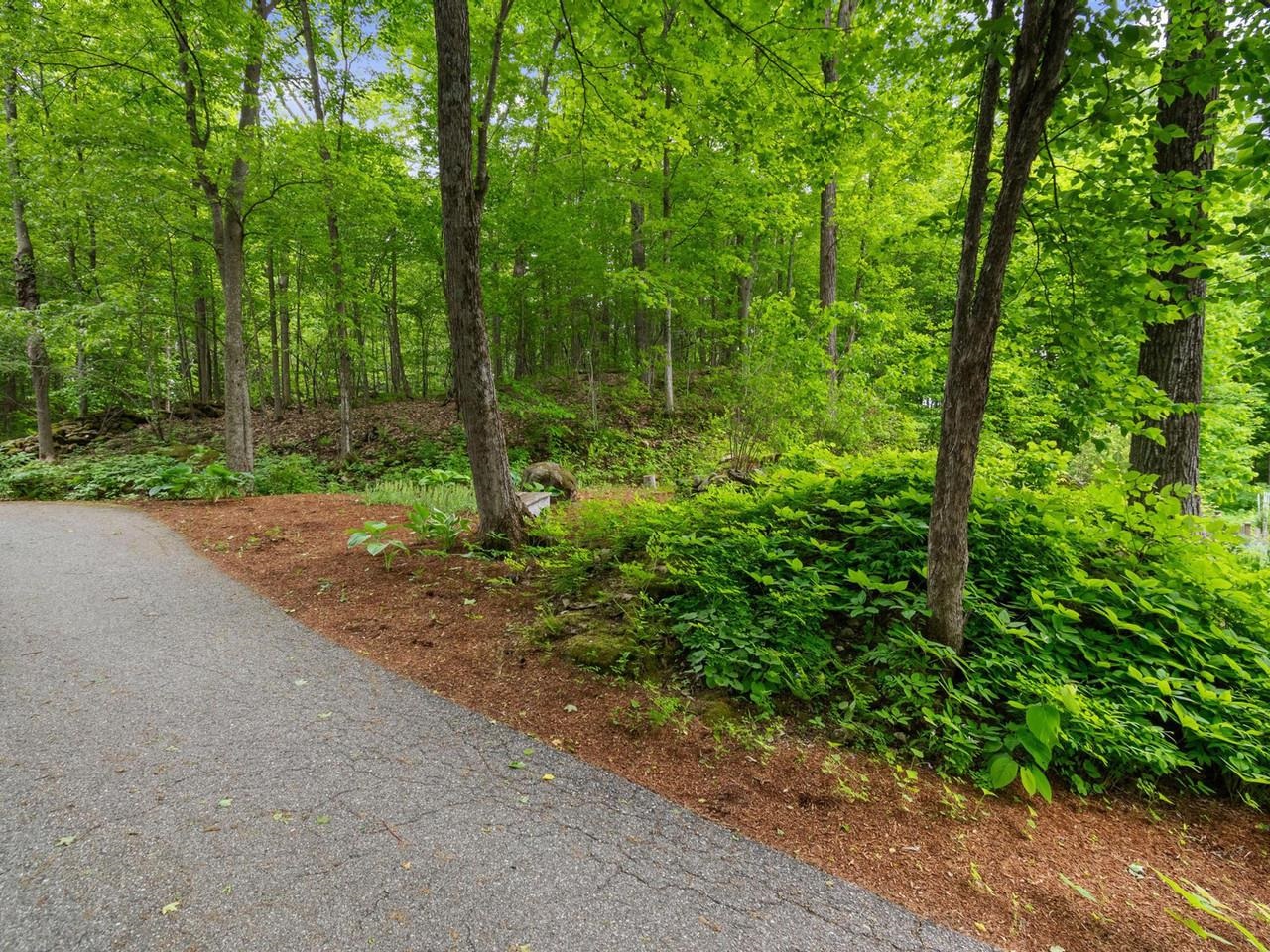 Peaceful Forest Setting