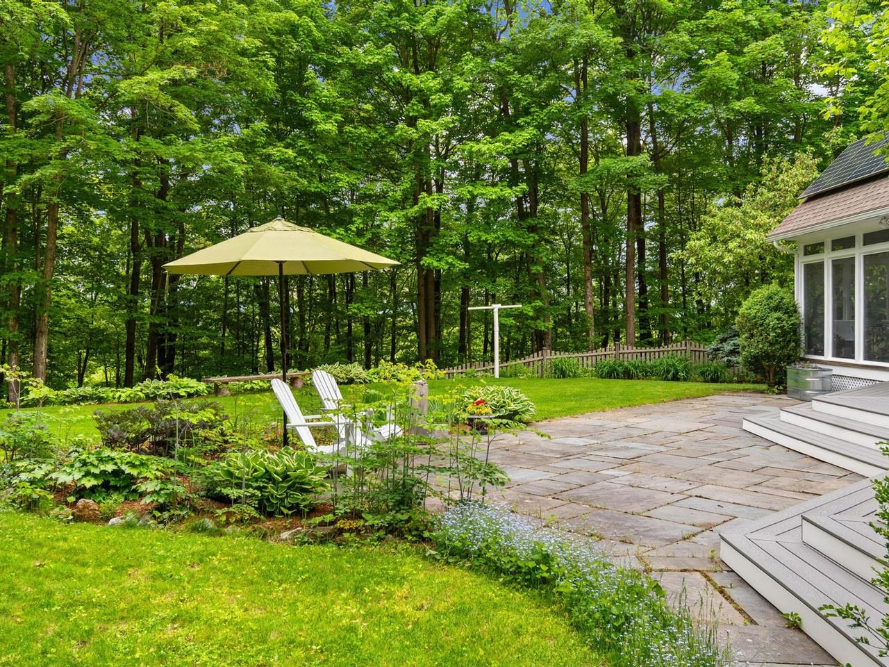 Sunny Backyard