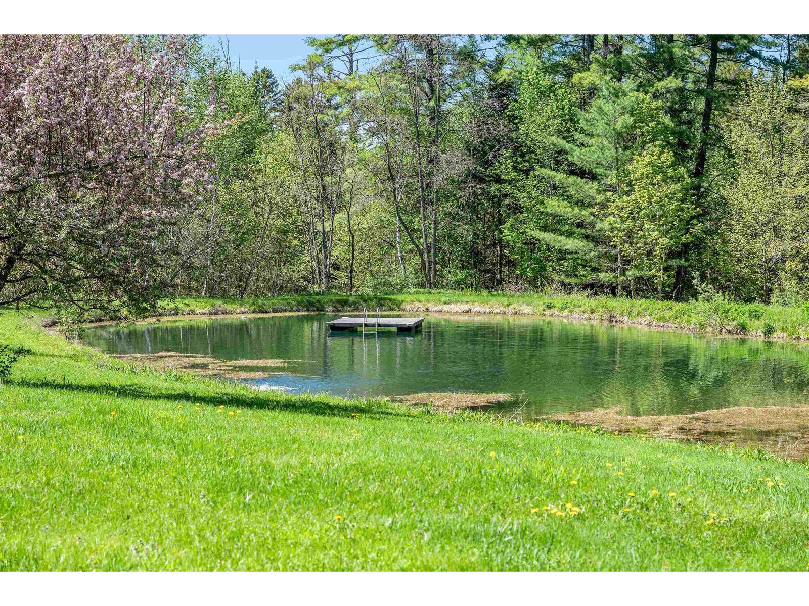 87 Bailey Pond Road