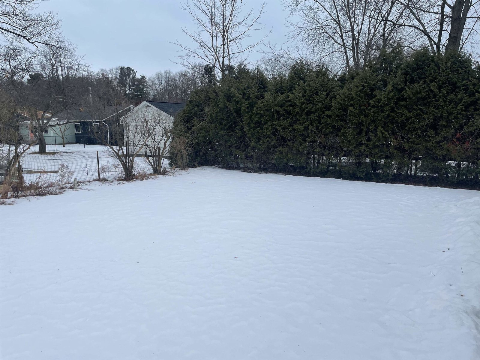 fenced back yard