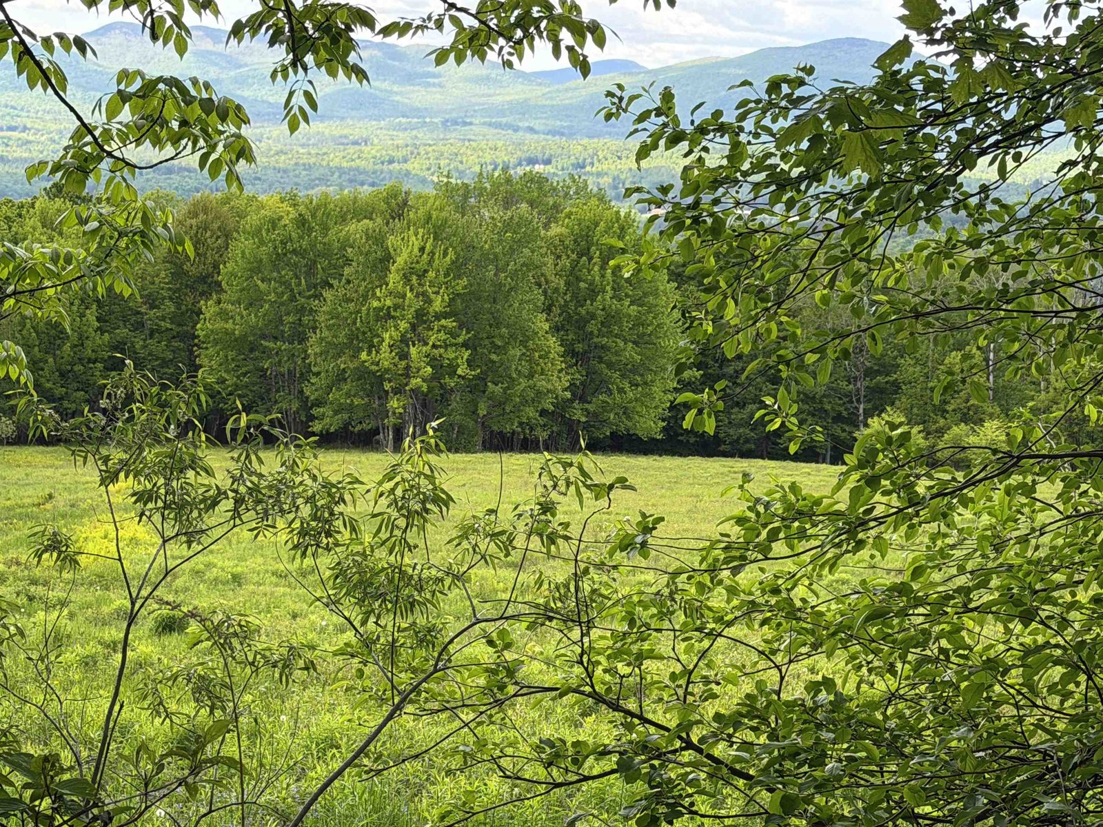 877 Grow Road