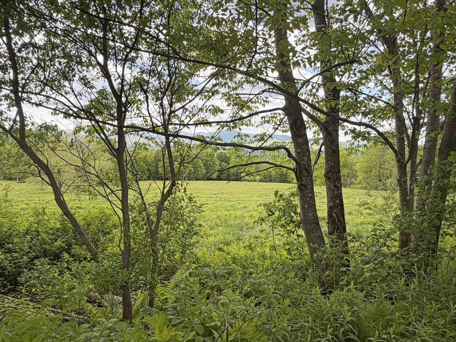 877 Grow Road