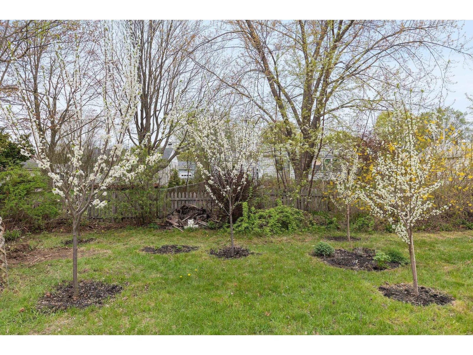 88 Cross Parkway