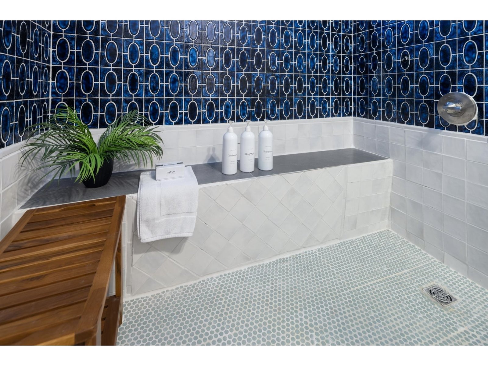 Large walk-in shower and separate toilet area