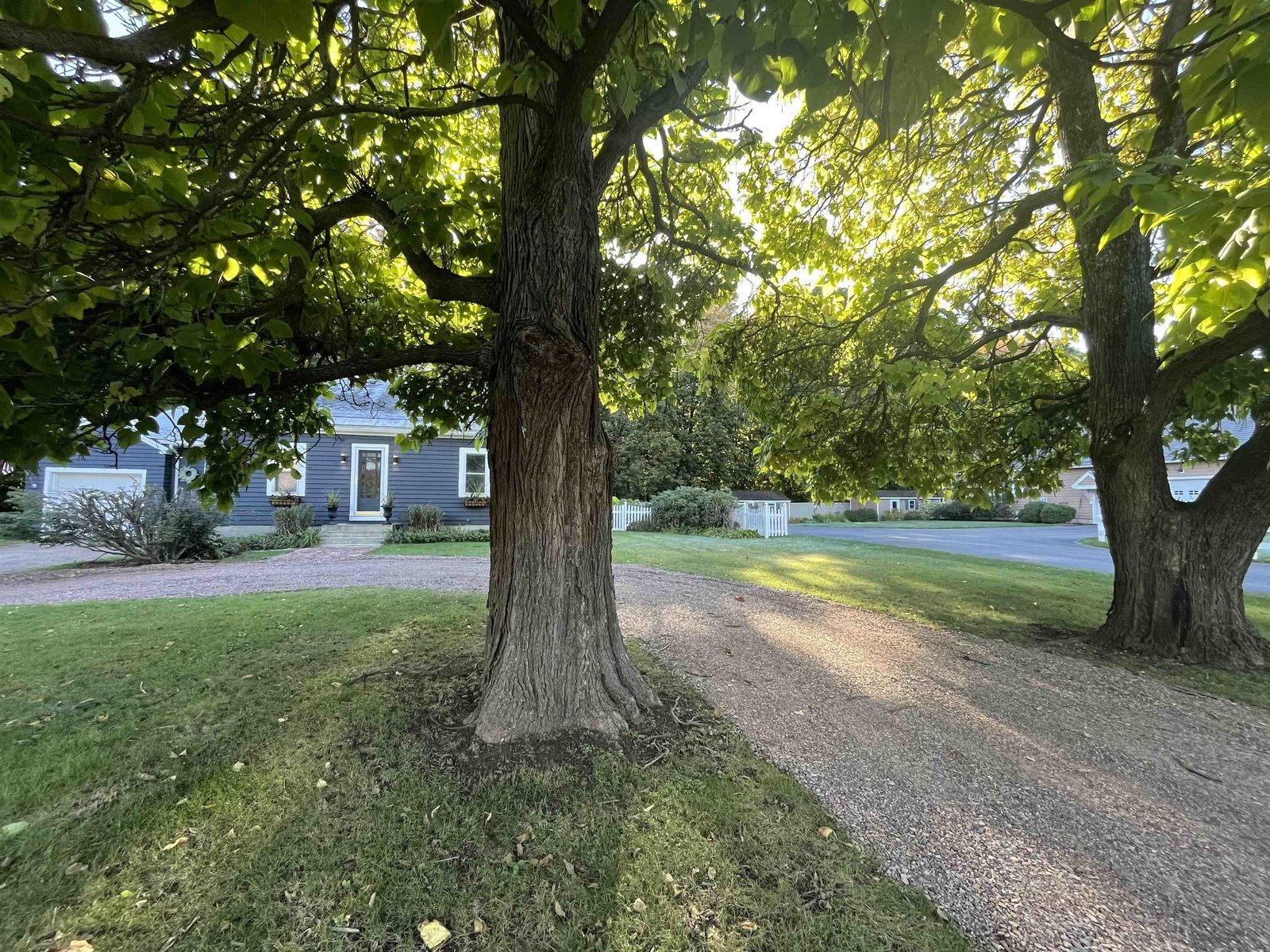 883 S Brownell Road