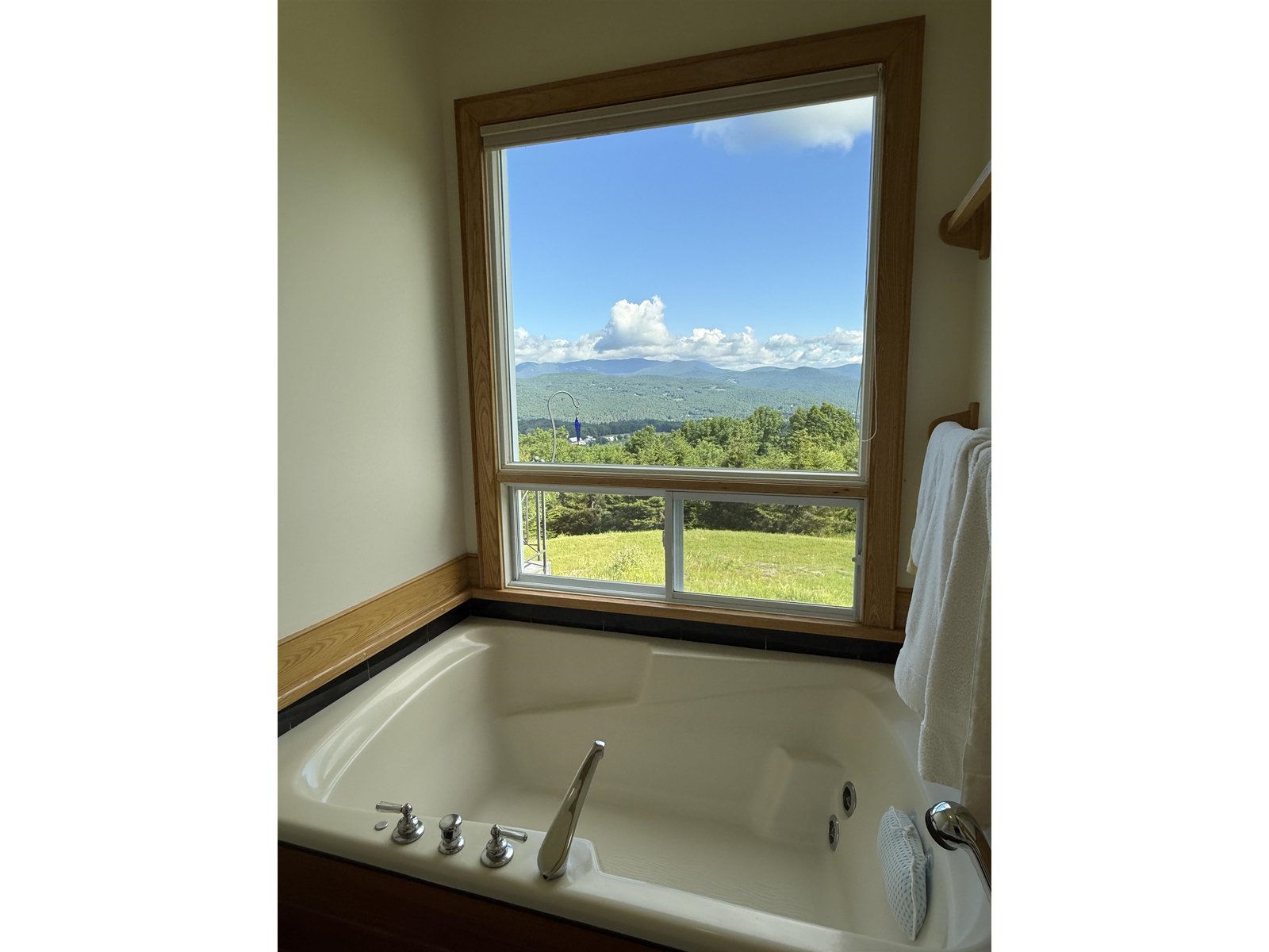 VIEW FROM EN SUITE JACUZZI TUB