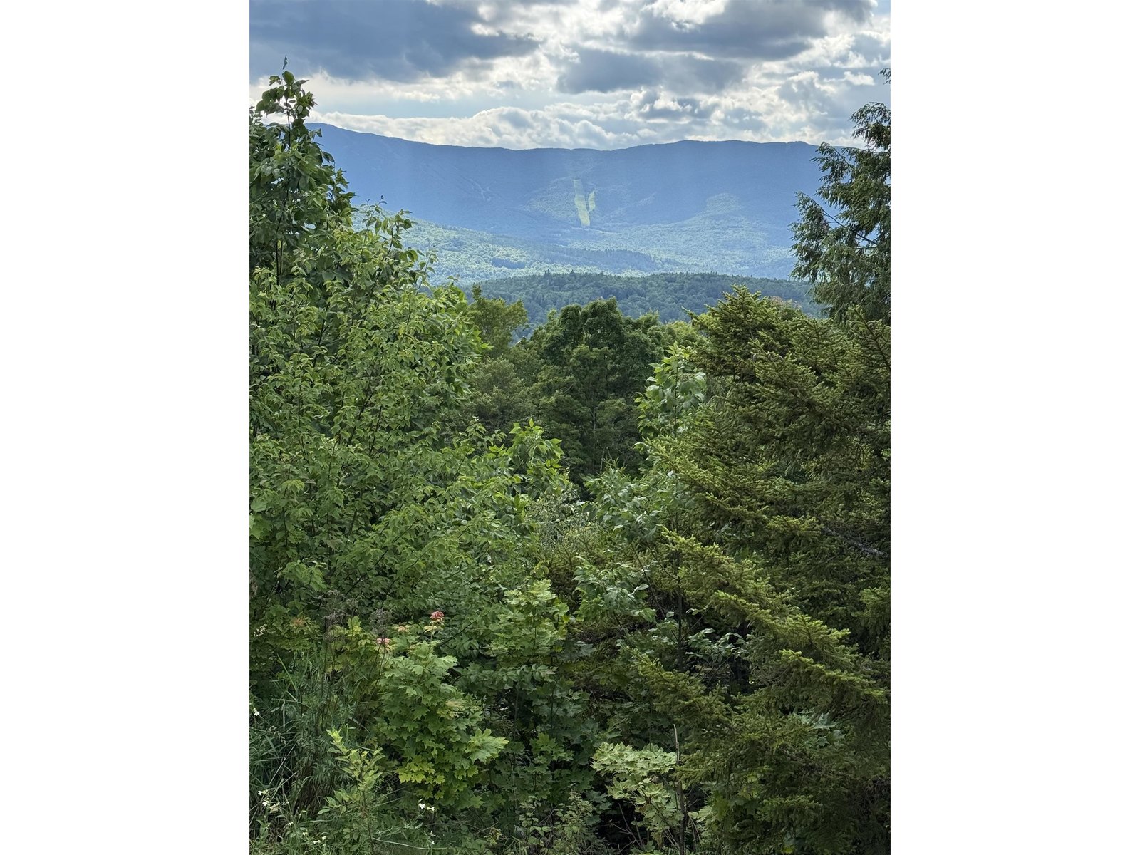 884 Palmer Hill Road