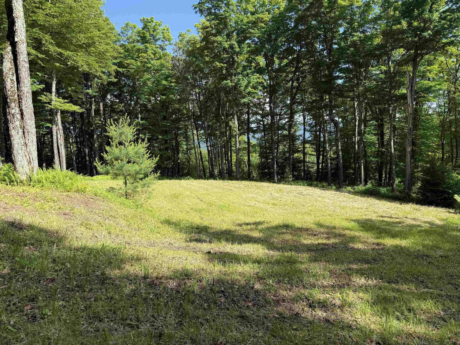 884 Palmer Hill Road