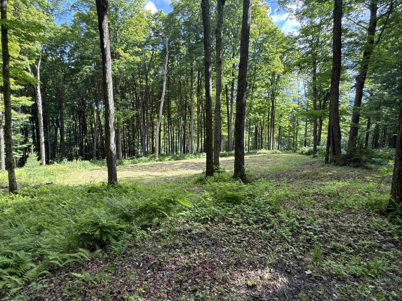 884 Palmer Hill Road
