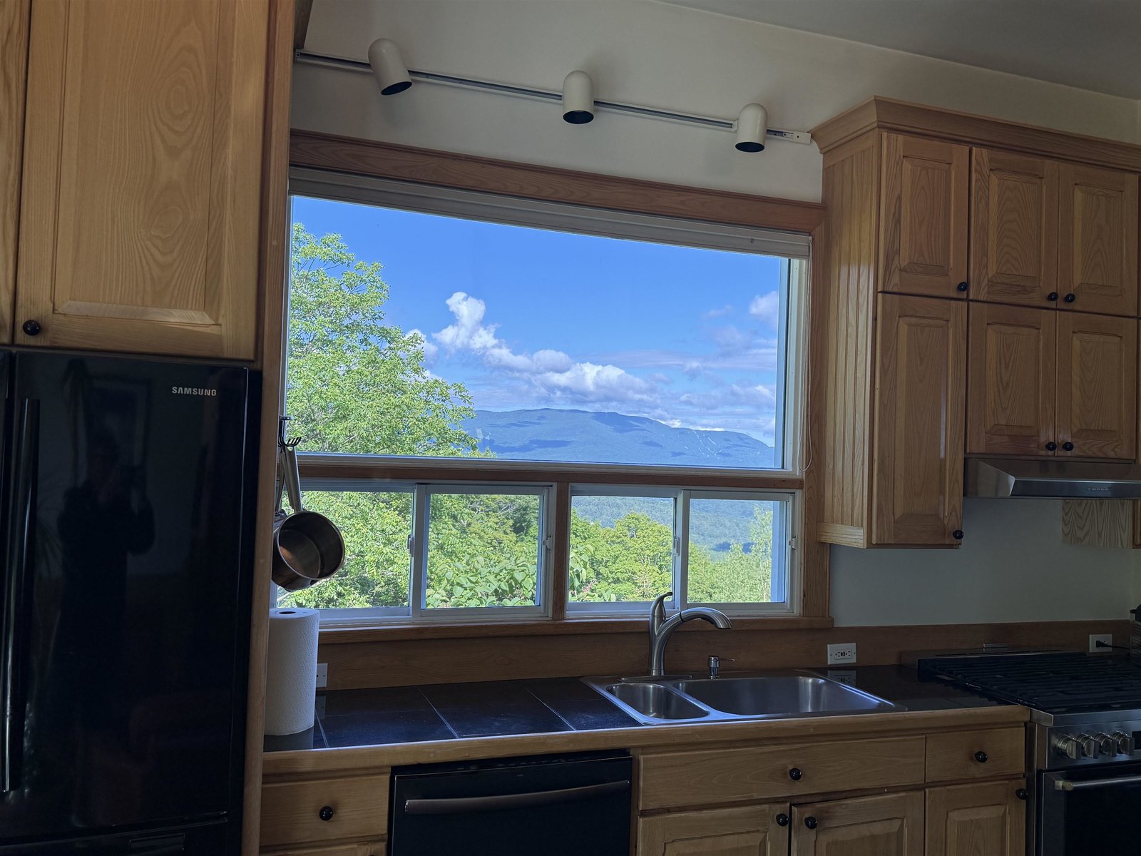 VIEW FROM KITCHEN SINK