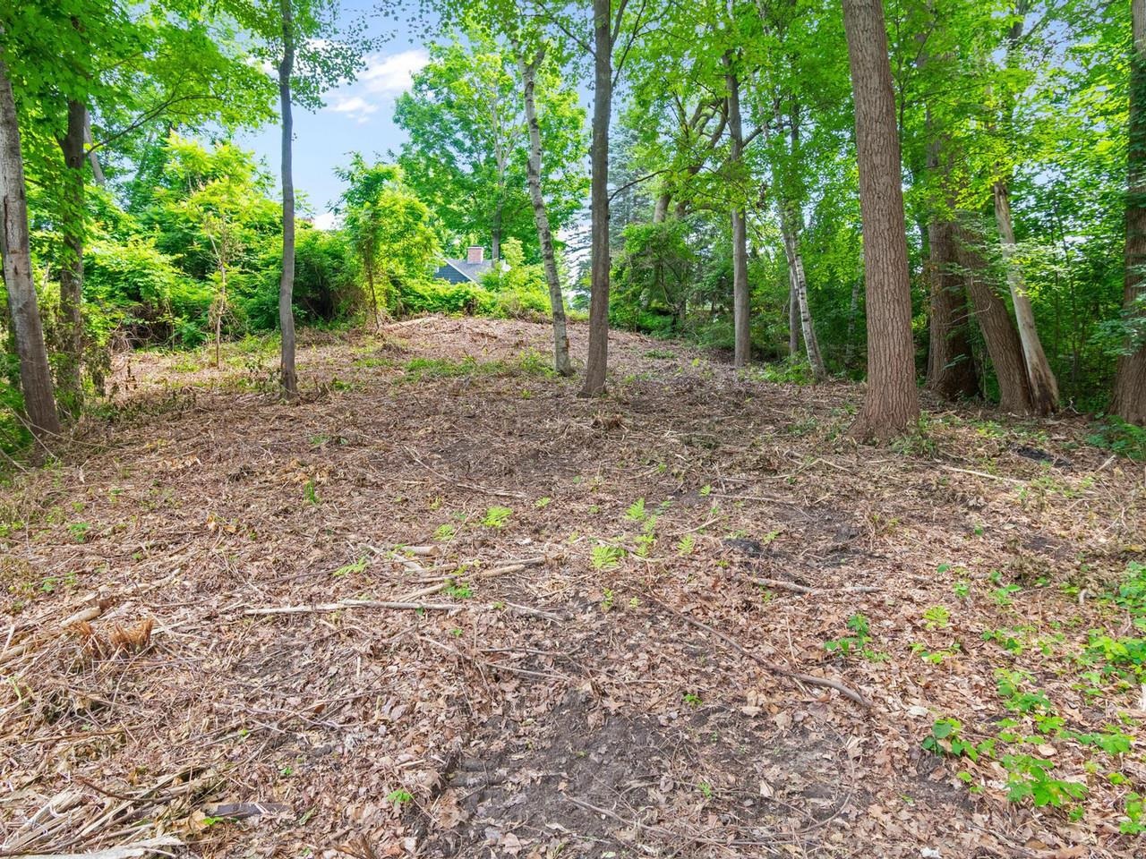 Wooded lot with privacy