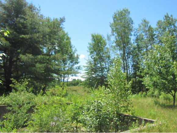 89 Jones Lane