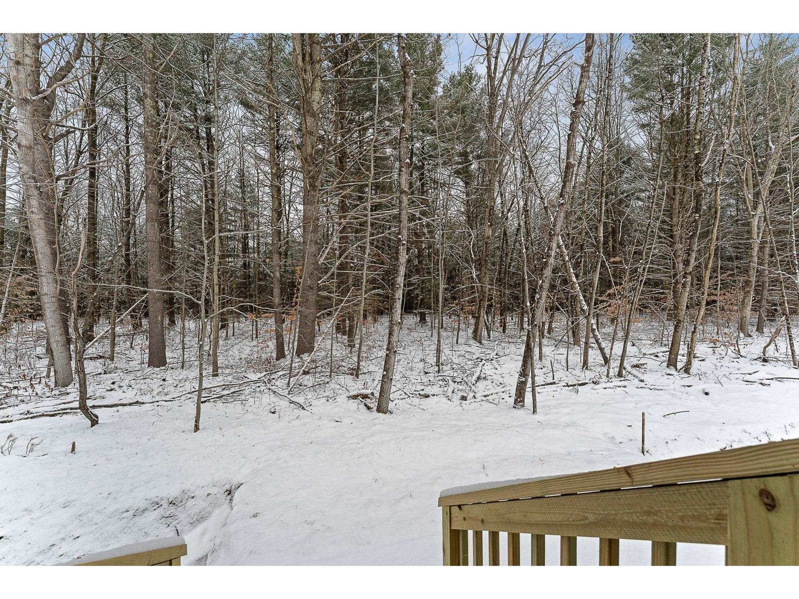 9 Dogwood Circle, Unit 9 Welchii Plan
