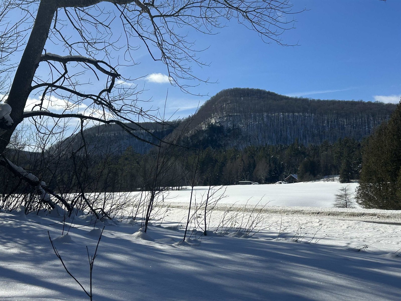 View of Black hill across the Pond