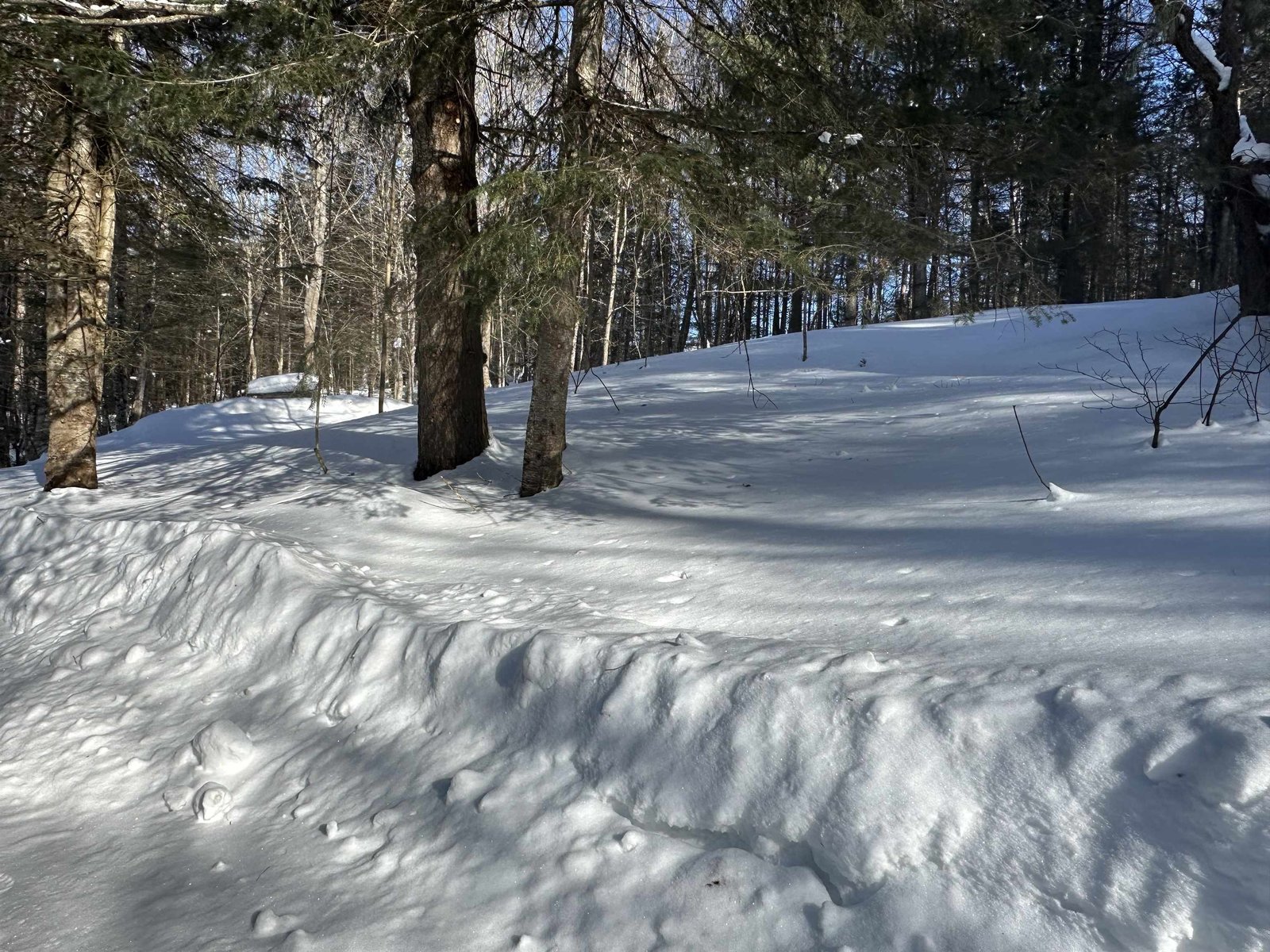 9 Dry Pond Road