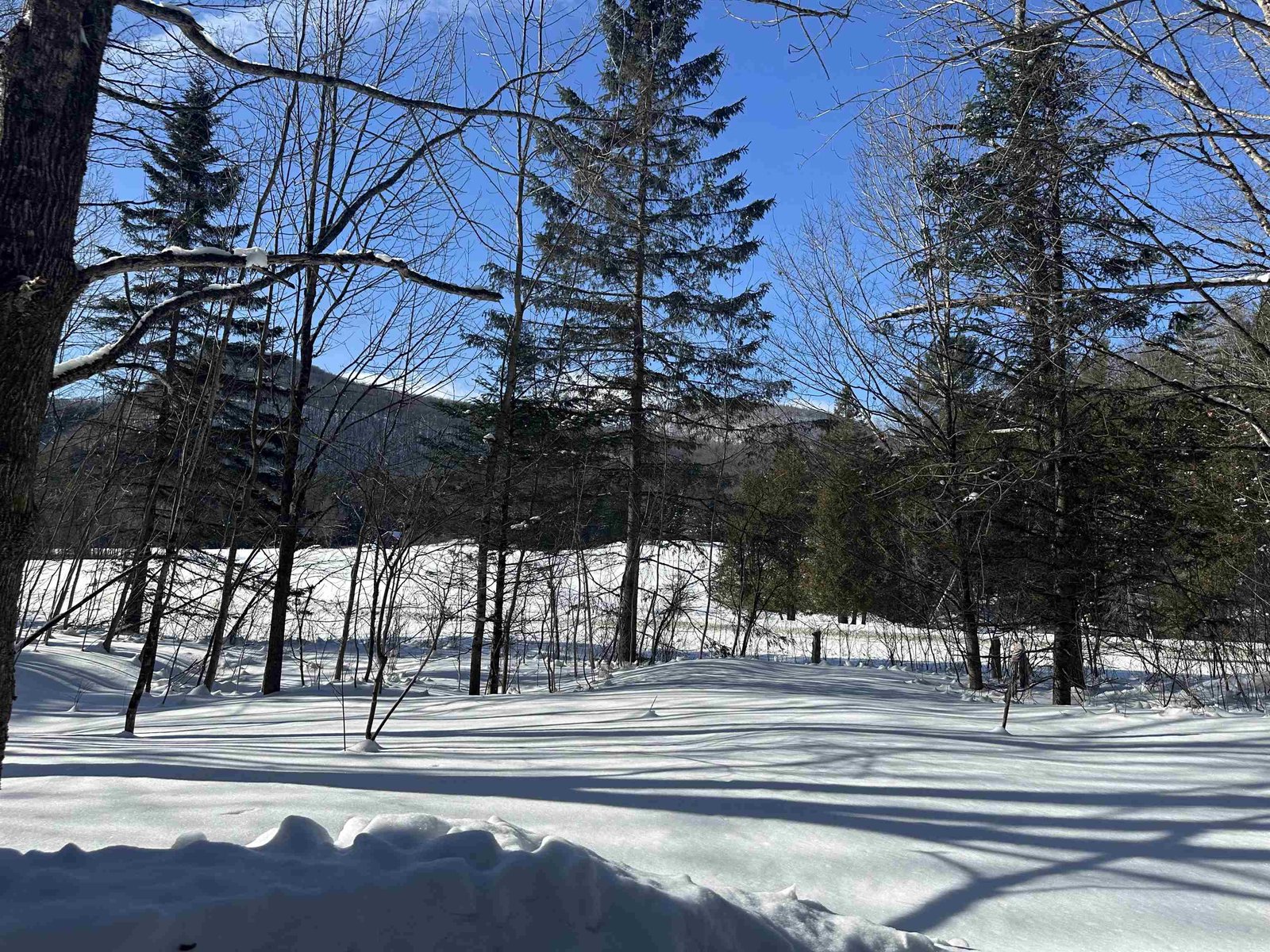 Clarks Pond