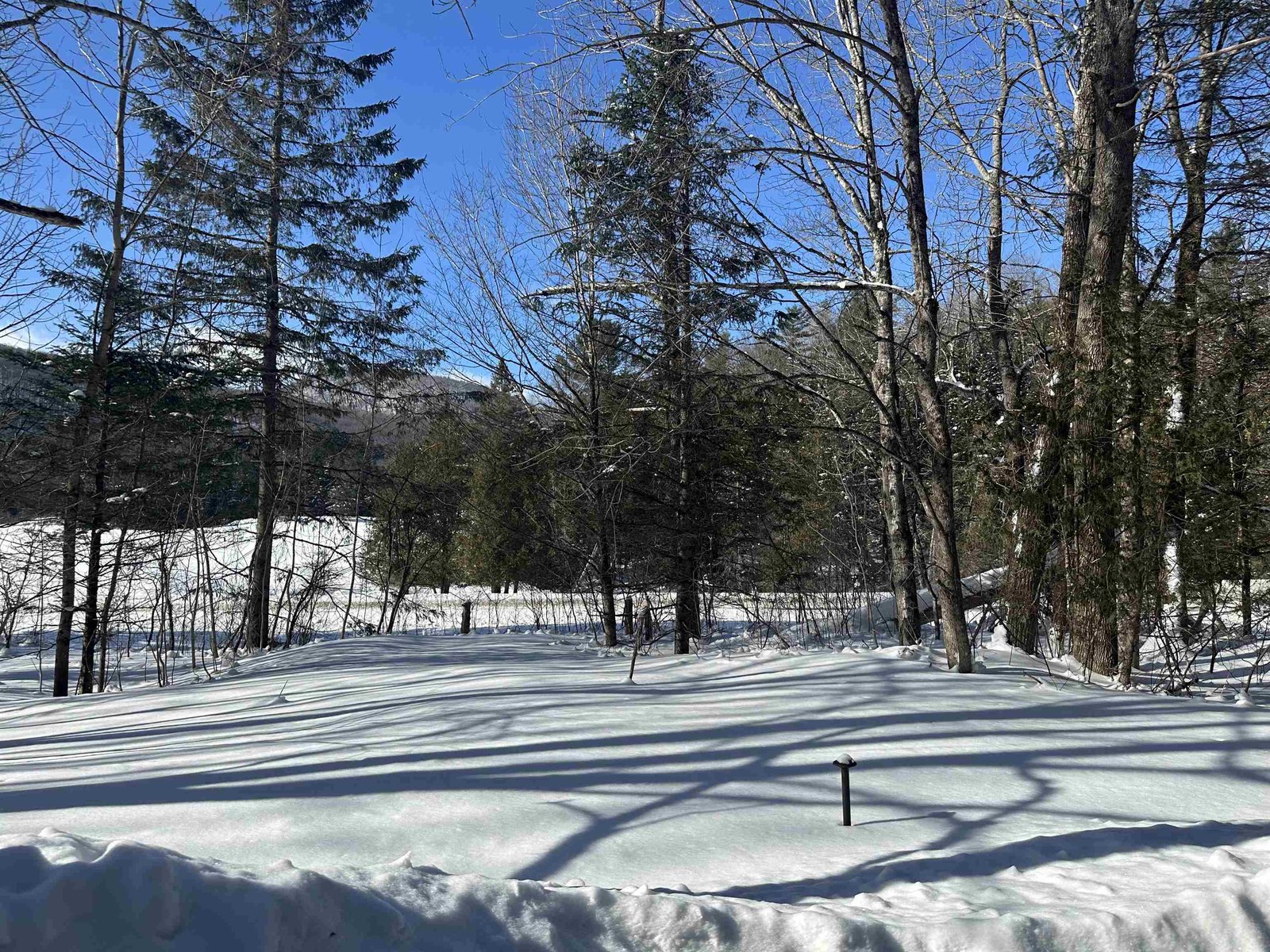 9 Dry Pond Road