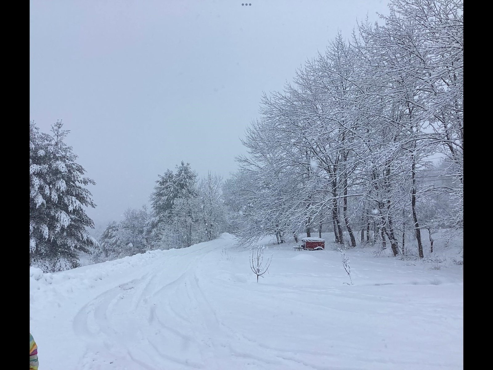 Winter Wonderland