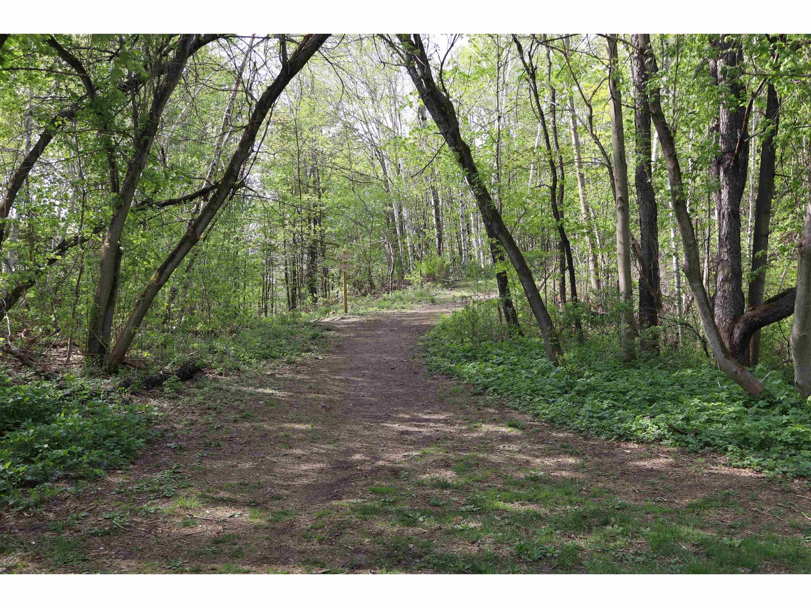 hiking trails nearby