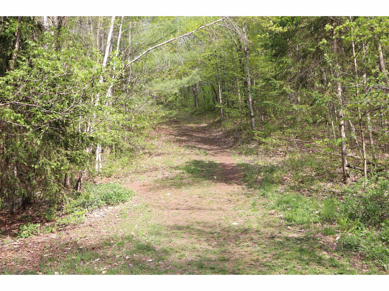 hiking trails nearby