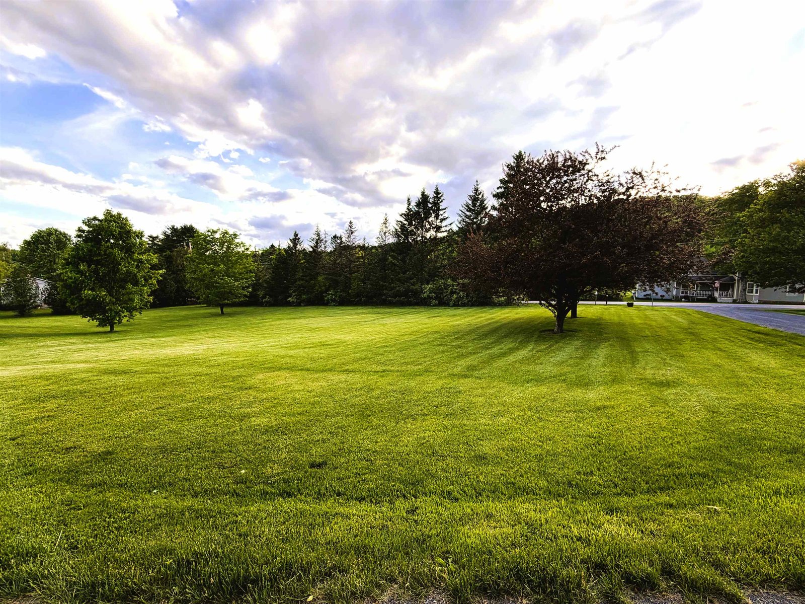 Front Yard - Hedgerow offers Privacy