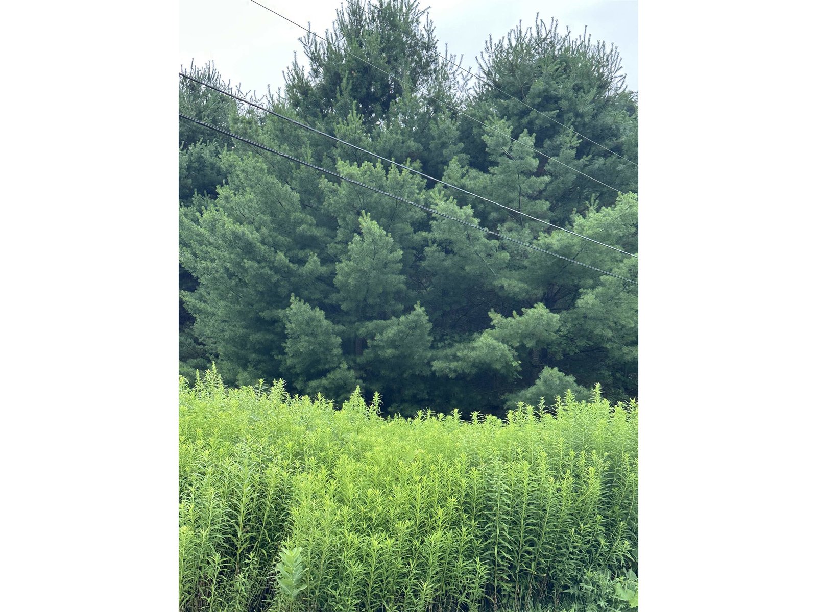 9 Rydon Acres