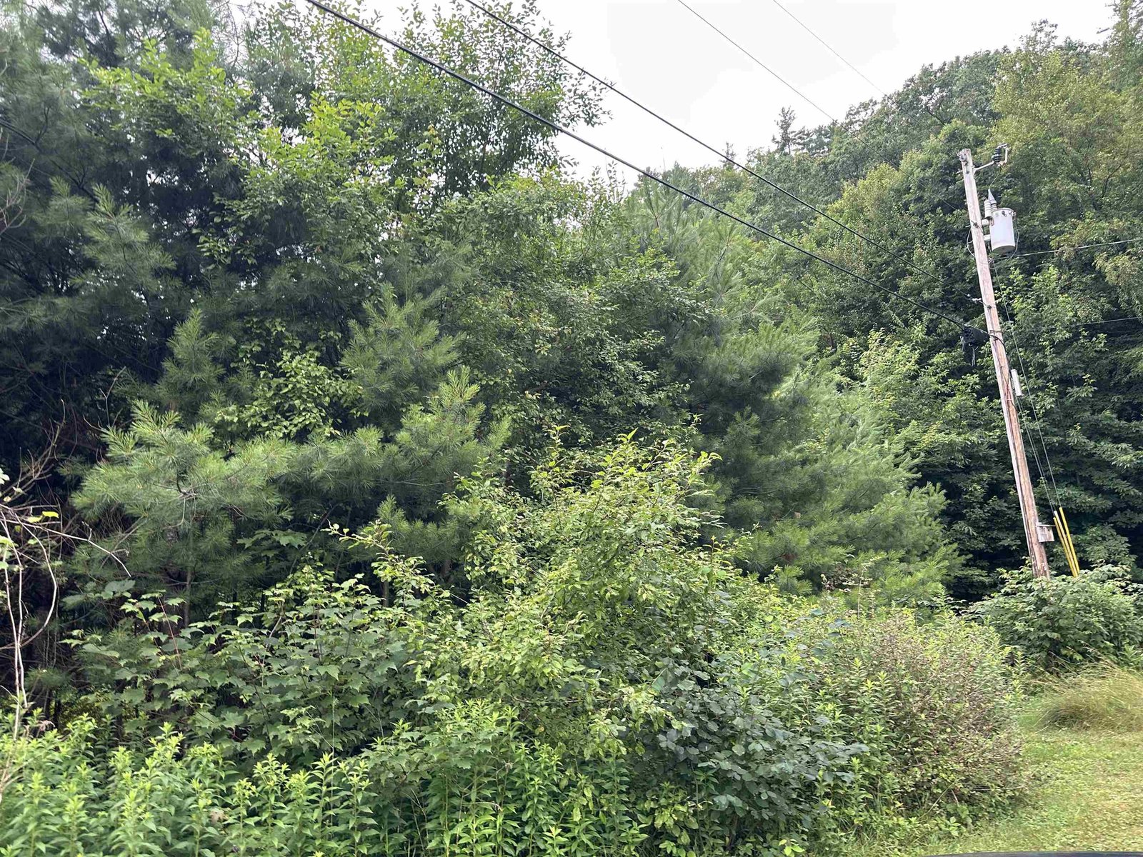 9 Rydon Acres