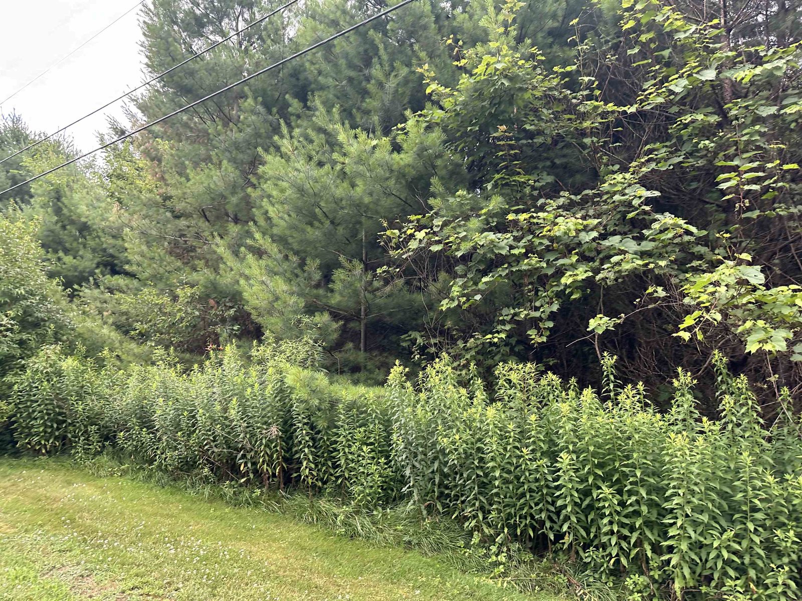 9 Rydon Acres