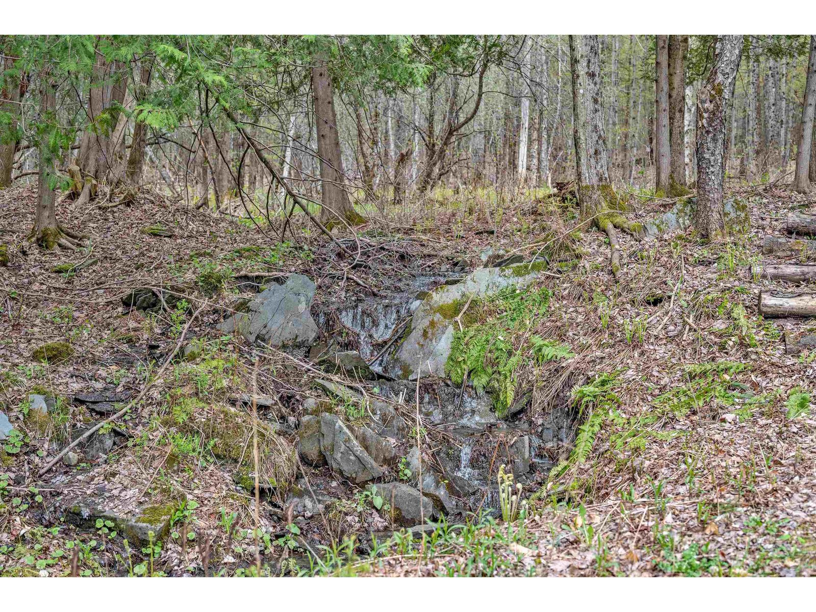 90 Sugarwoods Road
