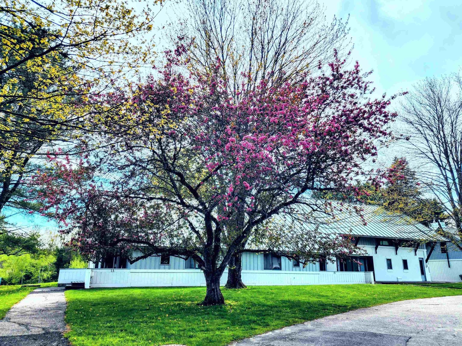 90 Village Green Drive, Stowe