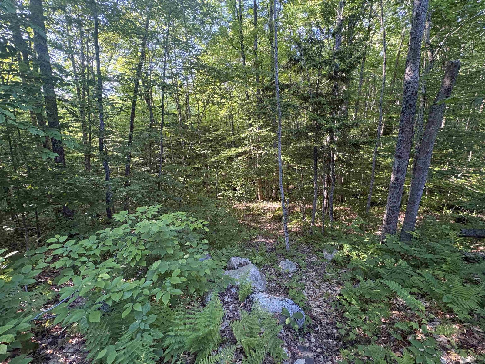 900 Wilderness Drive