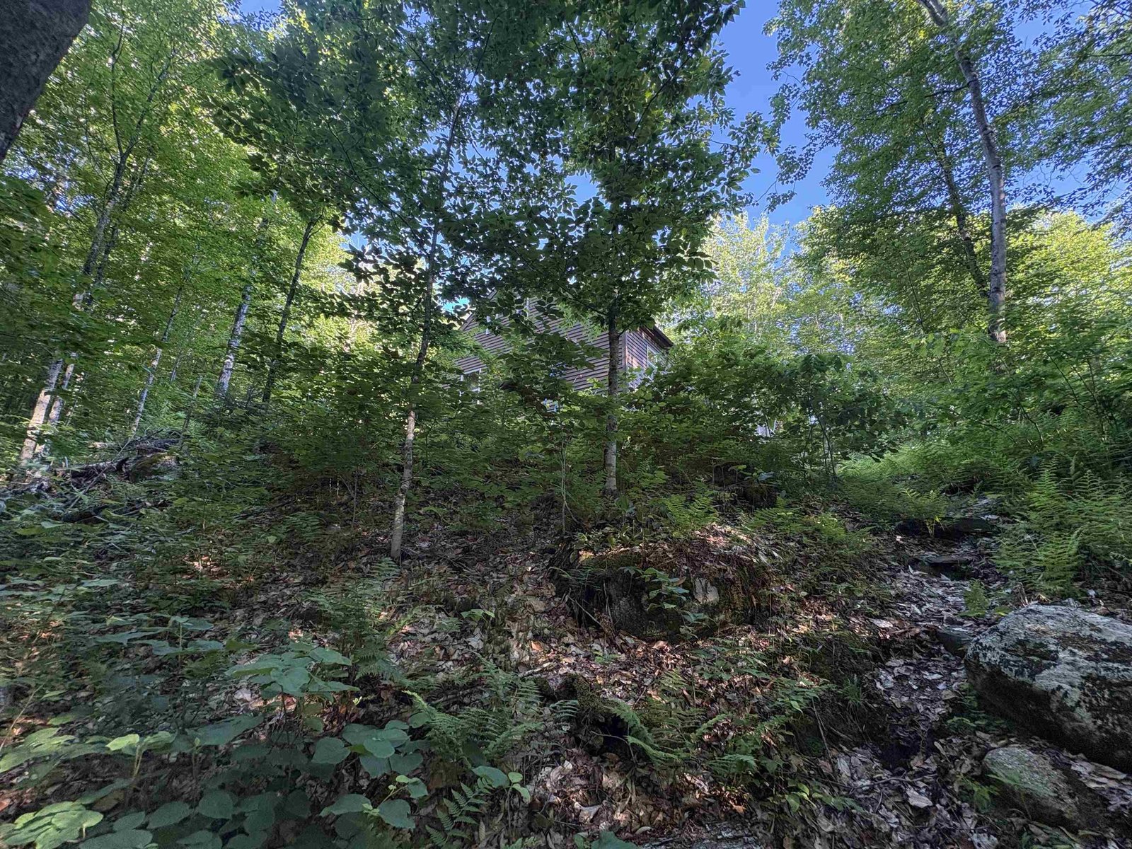 900 Wilderness Drive