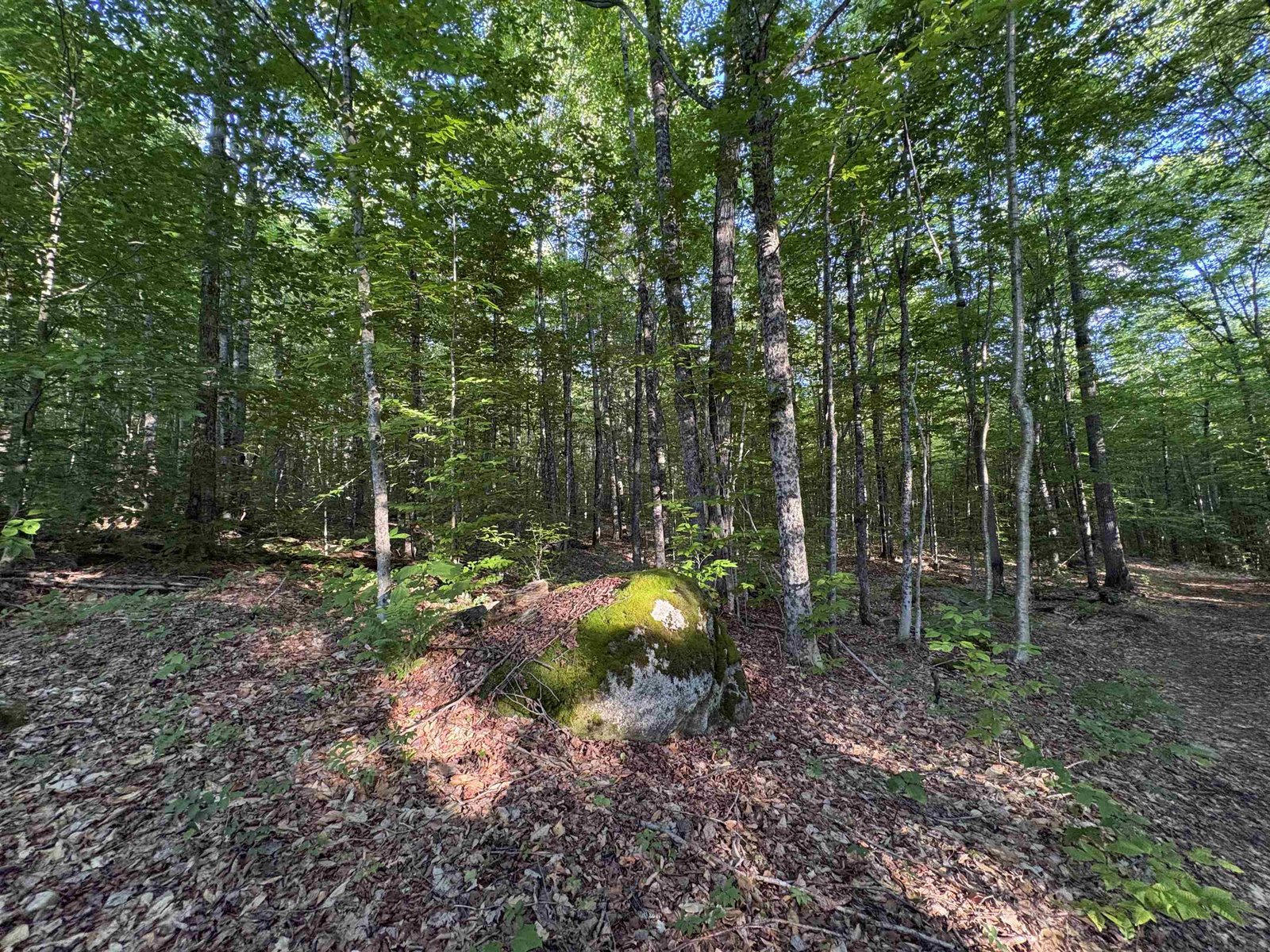 900 Wilderness Drive