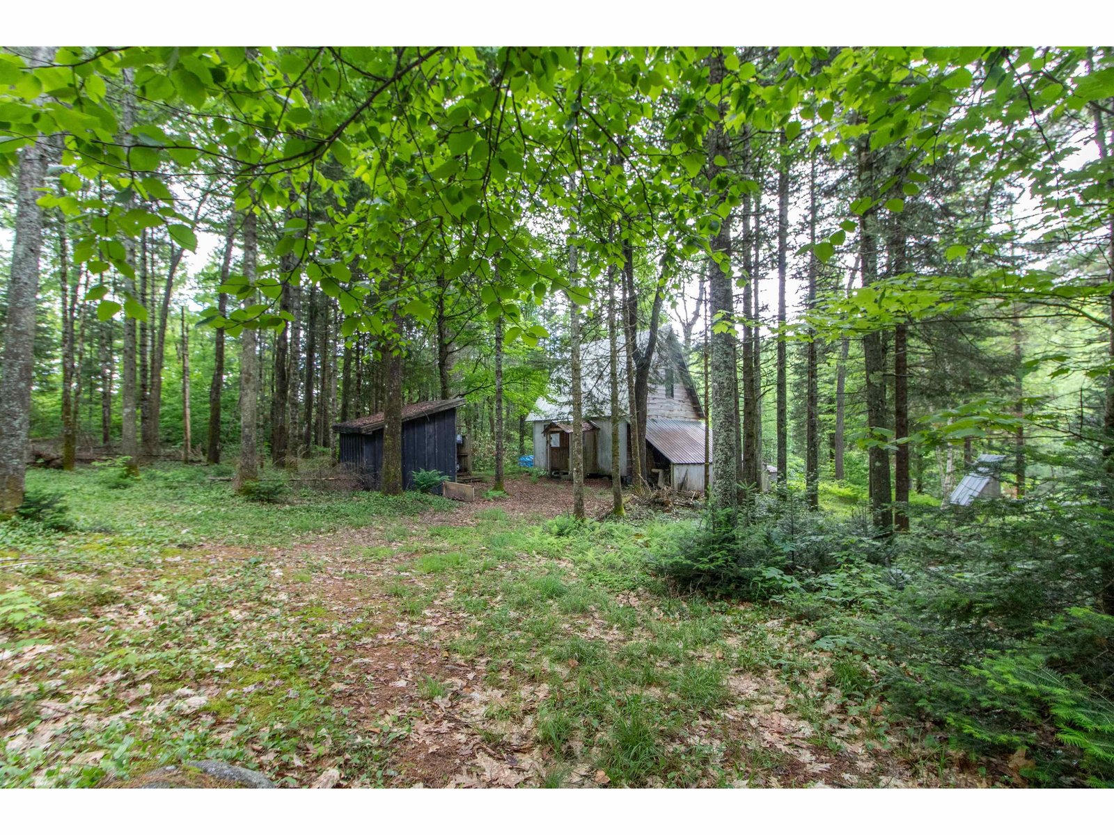 905 Gideons Mill Road