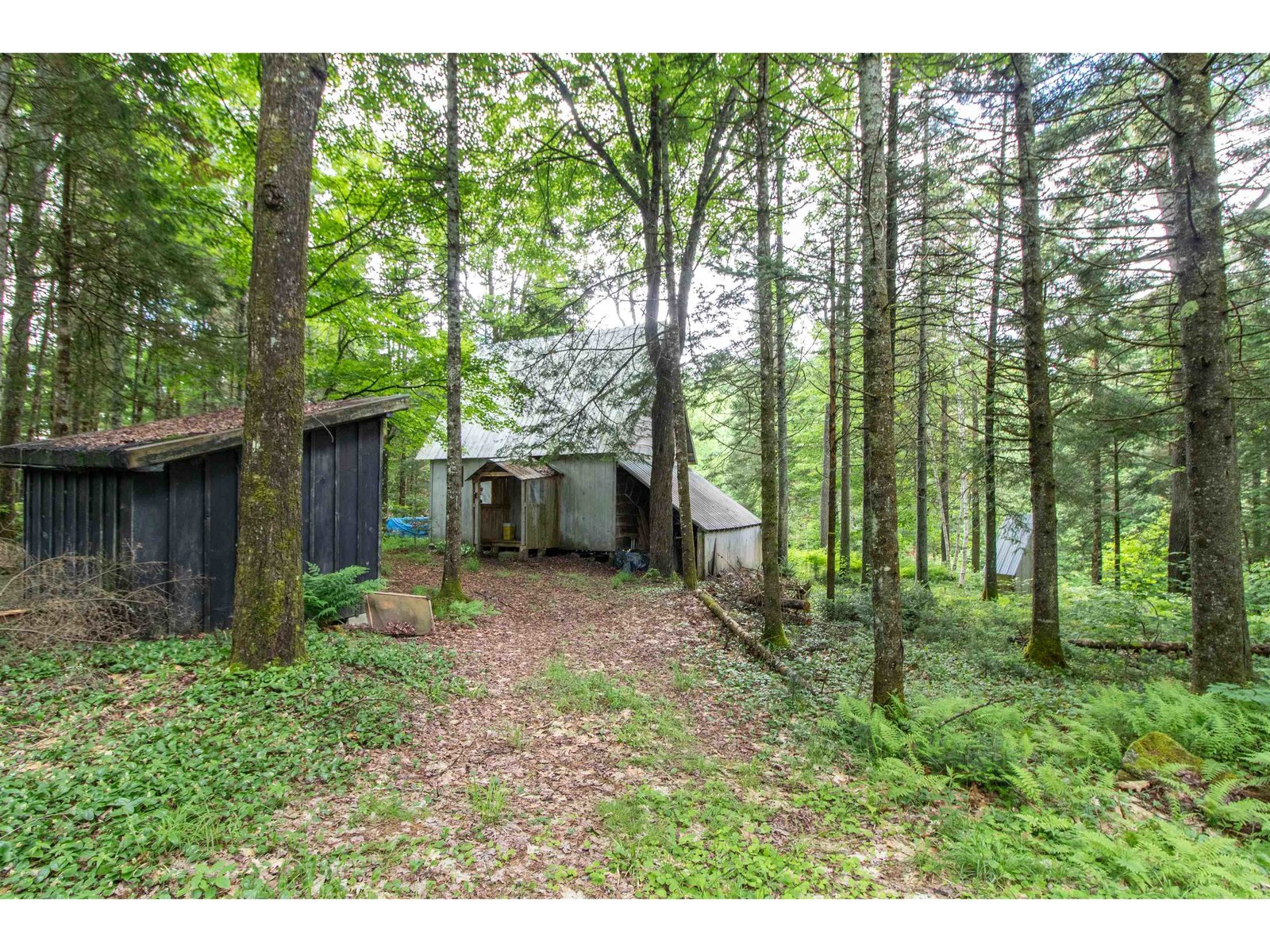 905 Gideons Mill Road