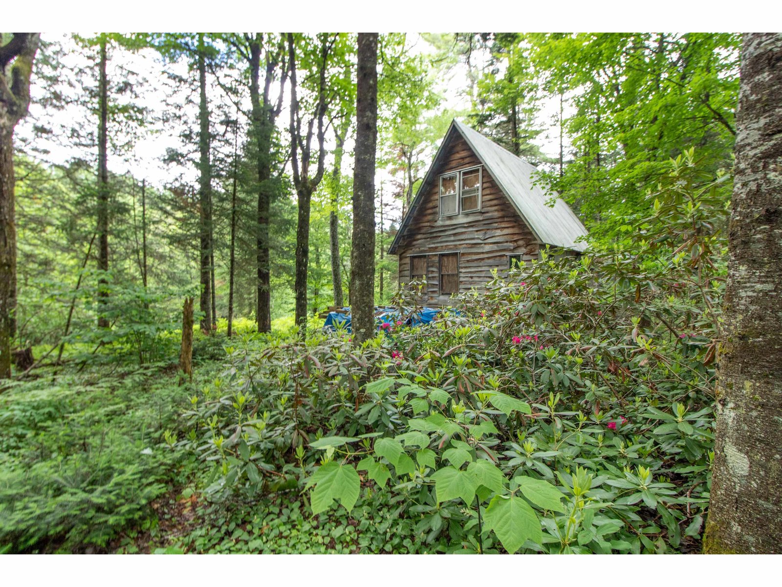 905 Gideons Mill Road