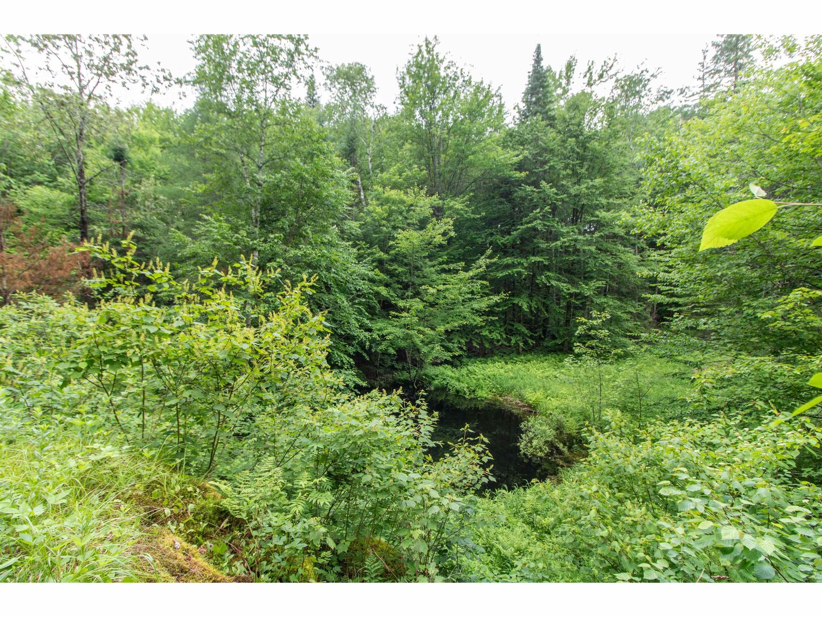 905 Gideons Mill Road