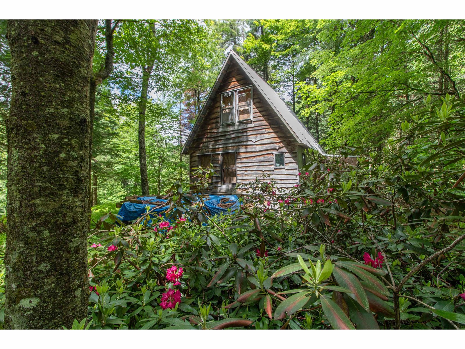905 Gideons Mill Road