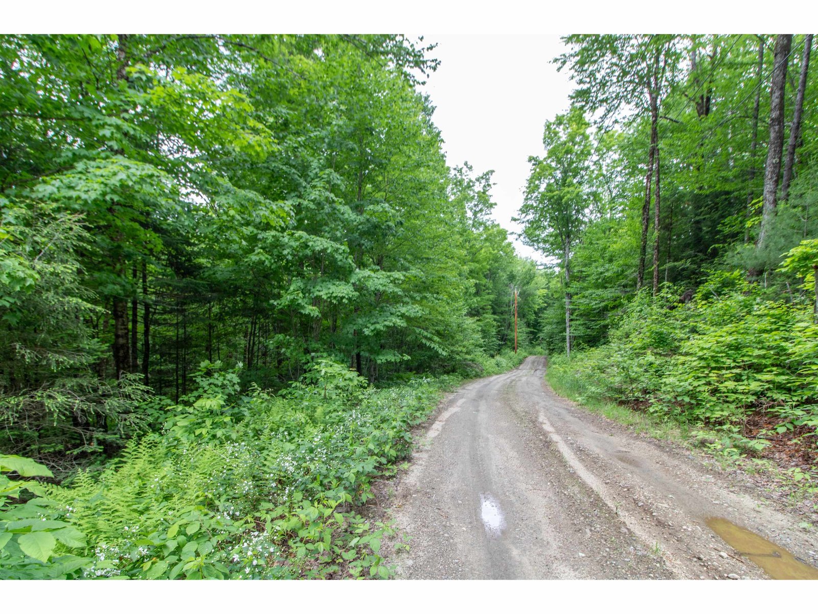 905 Gideons Mill Road