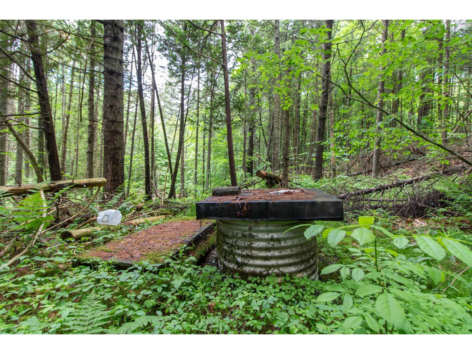 905 Gideons Mill Road