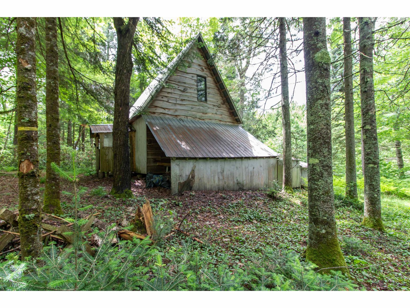 905 Gideons Mill Road