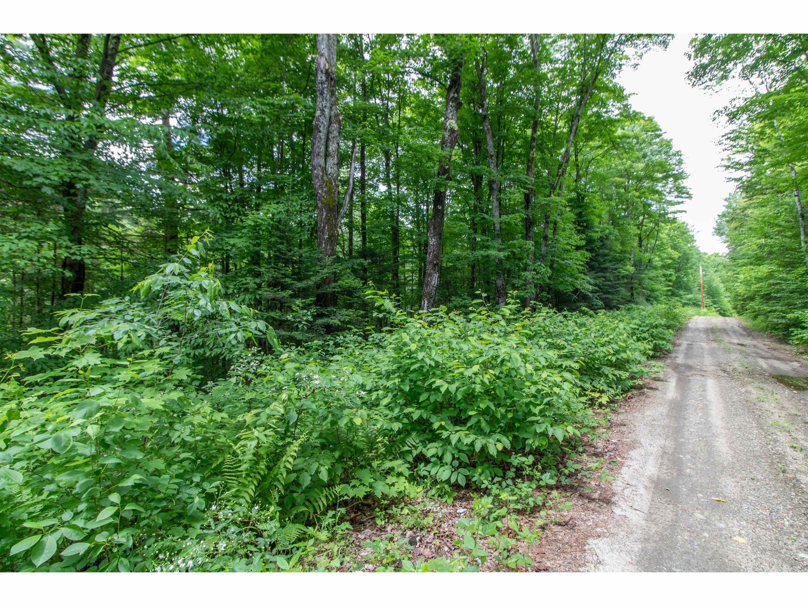 905 Gideons Mill Road
